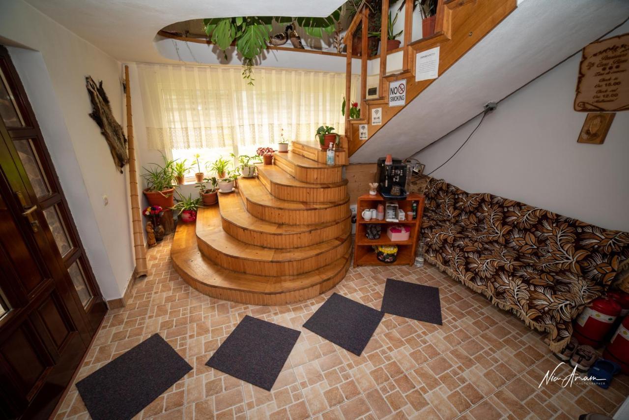 ホテル Casa Binu Arieşeni エクステリア 写真