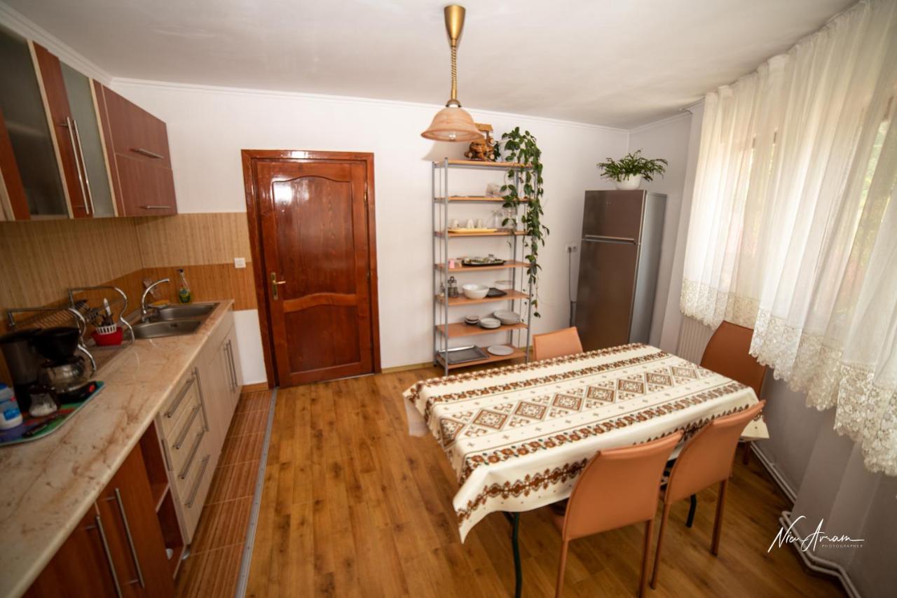 ホテル Casa Binu Arieşeni エクステリア 写真