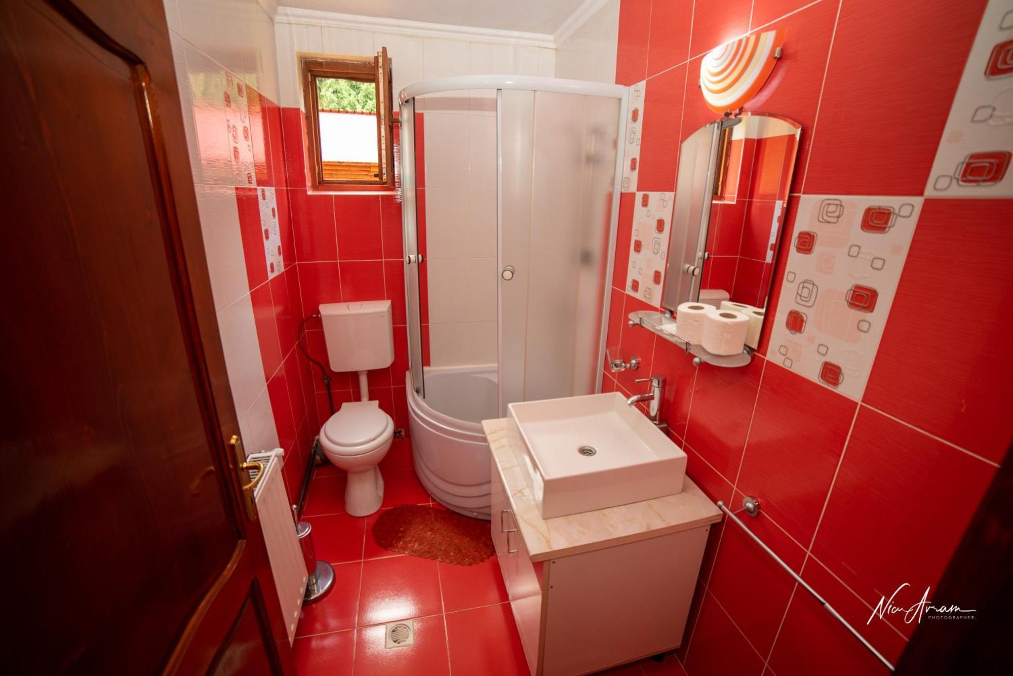 ホテル Casa Binu Arieşeni エクステリア 写真